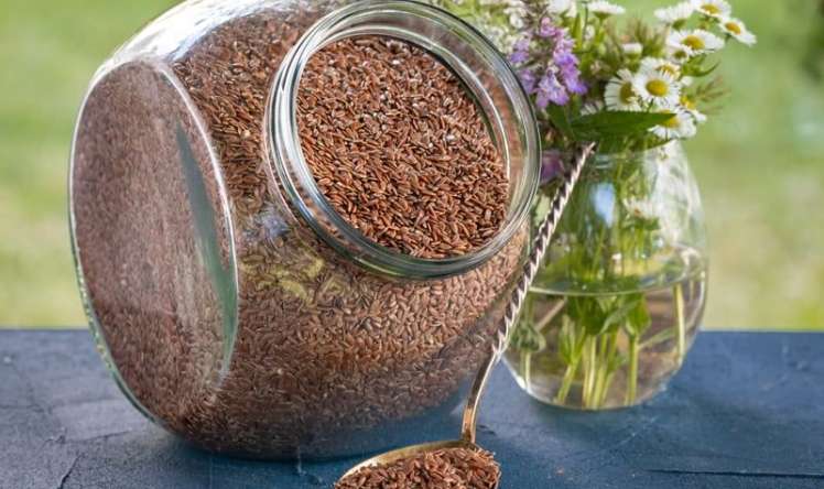 Bu toxum damarda iltihabı azaldır - Alimlər