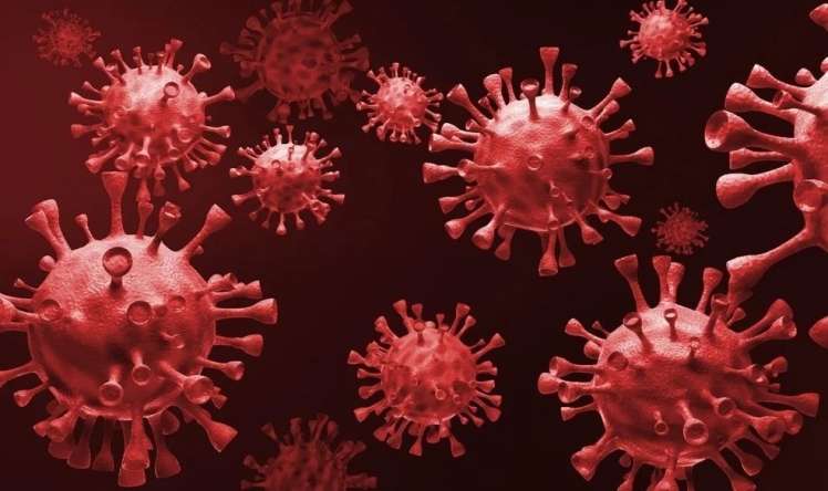 Tənəffüs  yollarının virus infeksiyalarına qarşı nə etməli? -  Professordan məsləhətlər