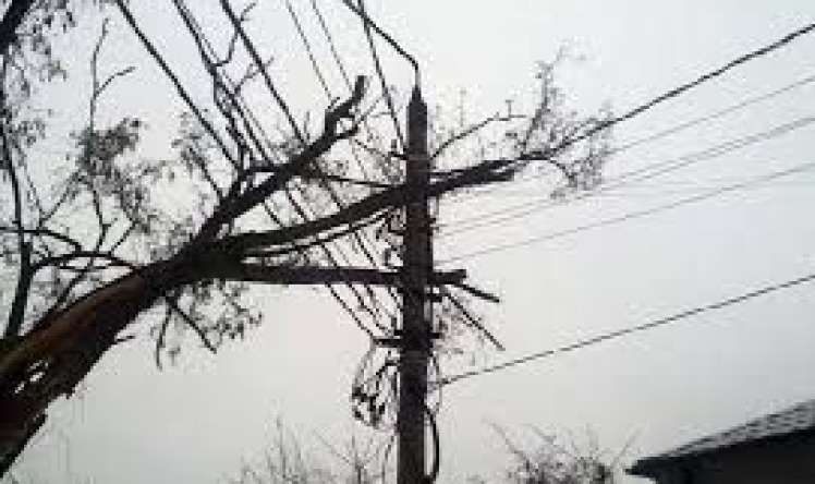 Elektrik naqillərinin, hündür ağacların altında dayanmayın!  