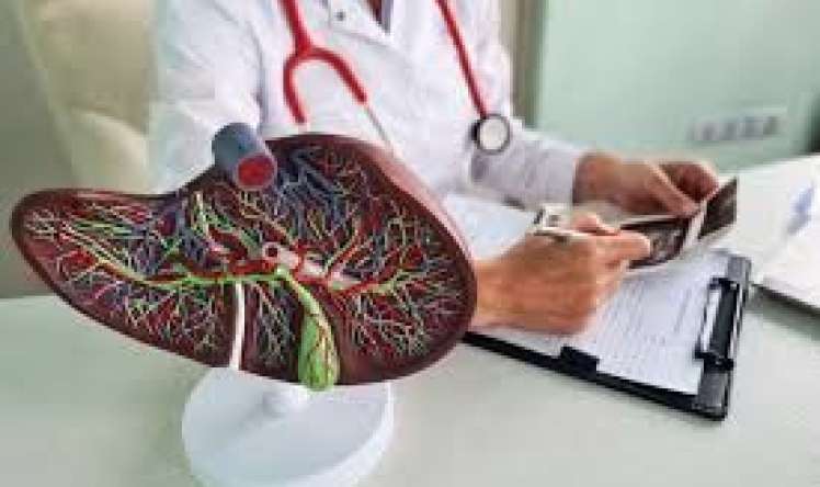 İmmuniteti cavanlaşdıran orqan 