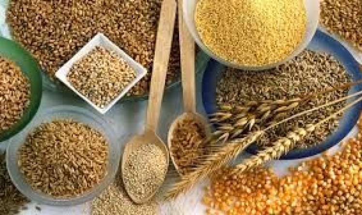 Bu taxıllar  arteriya damarlarını tuta bilər 