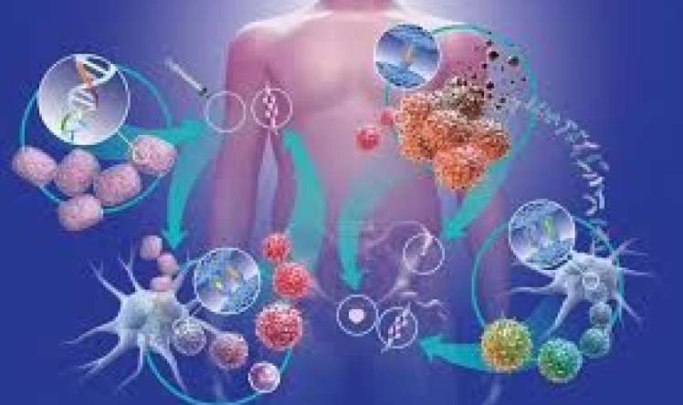 Süd vəzi xərçənginin müalicəsində     effektiv molekullar tapıldı