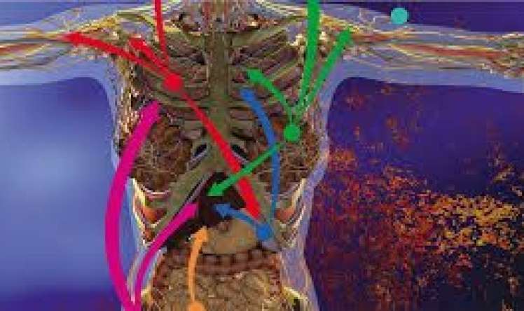 Xərçəng  sağlam hüceyrələri necə ələ keçirir? 