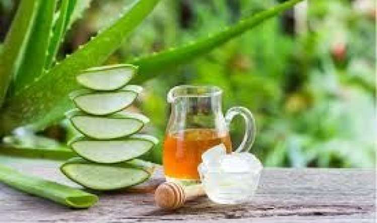 Qorxunc trombları parçalaya biləcək  – Aspirin təsirli qidalar