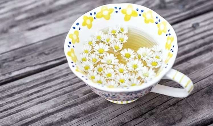 Təhlükəli xəstəliklərdən qoruyan  – Ucuz çay