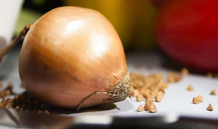 Yatmazdan əvvəl bir baş soğan yeyin 