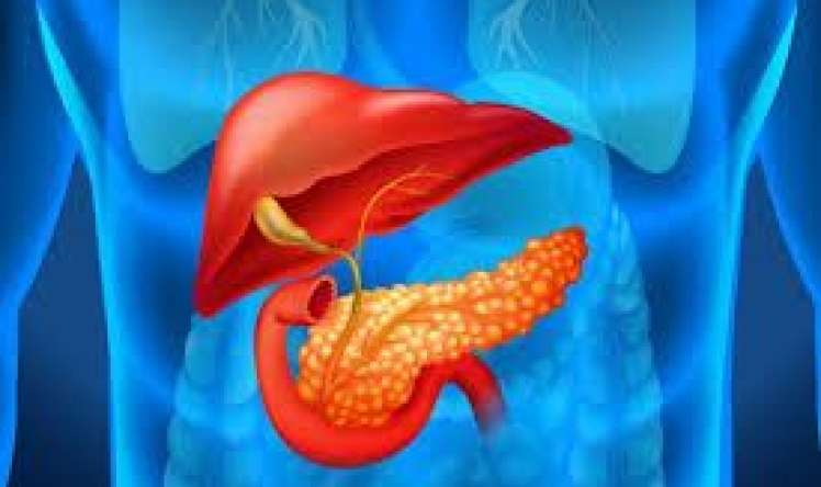 Mədəaltı vəzi xərçənginin 14 əlaməti  – Çox yeyənlərin diqqətinə!