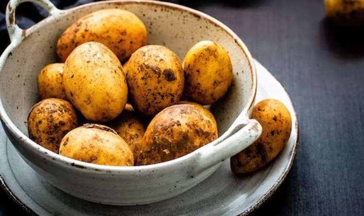 Kartof piylənmə və diabet yaratmır  – Yeni sübut