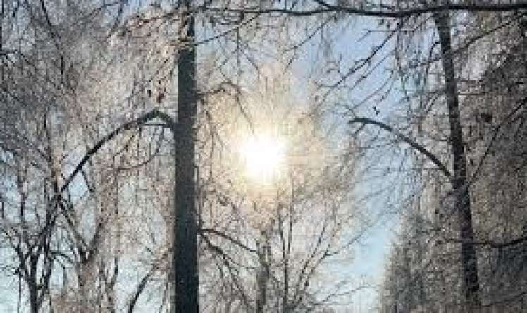 Sabah anomal isti olacaq 