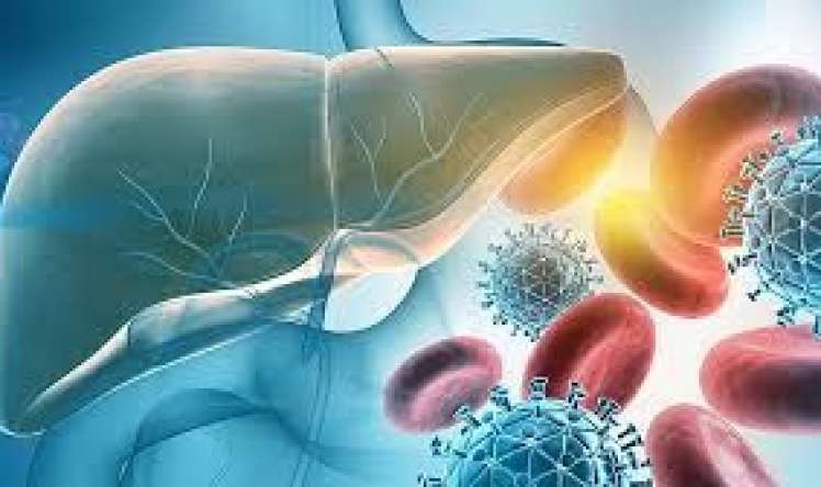 Hansı hepatitin müalicəsi yoxdur  - Hepatit B, yoxsa Hepatit C?