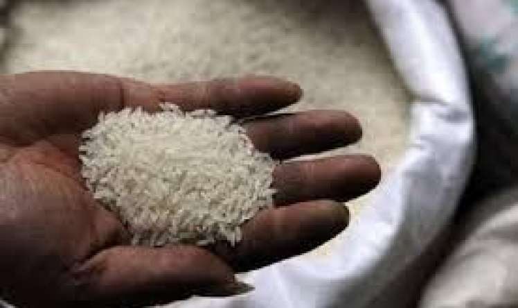 Marketlərdə satılan düyü saxtadır  - Plastik düyünü necə tanıyaq?