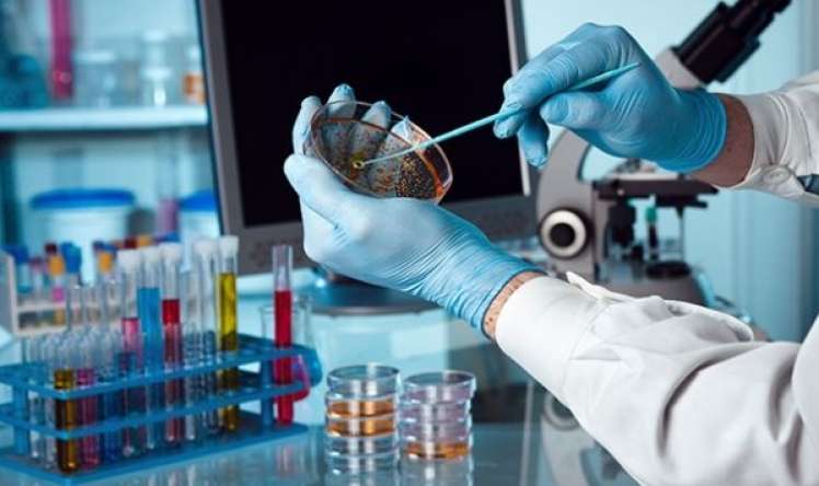 Xərçəngin dərmanı   60 il əvvəl tapılıb?