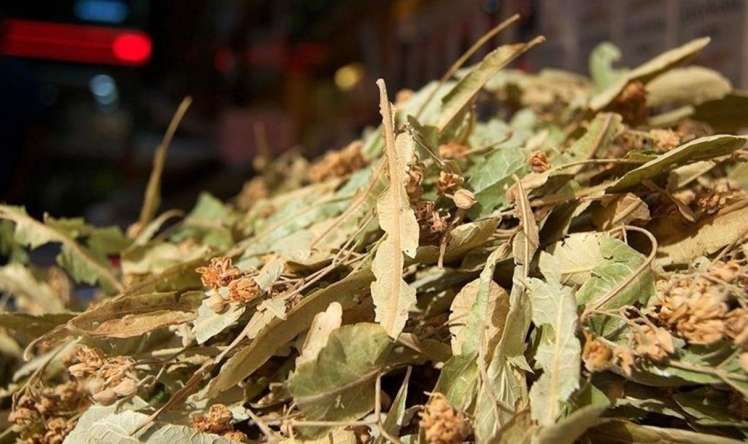 Hər gün bir fincan cökə çayı içməyin  möcüzəvi təsirləri