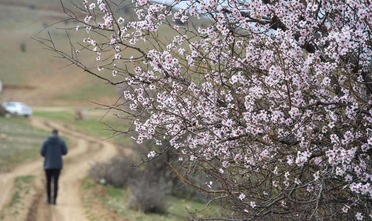 Sabahın hava proqnozu 