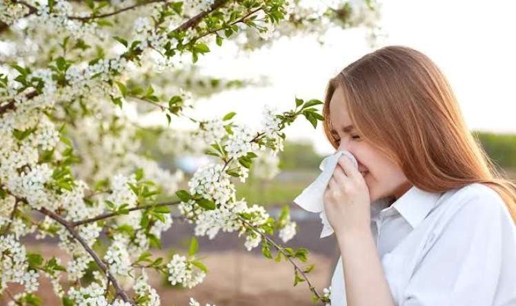Yaz gəldi, kabus başladı -  Polen allergiyasına qarşı 5 təsirli tədbir