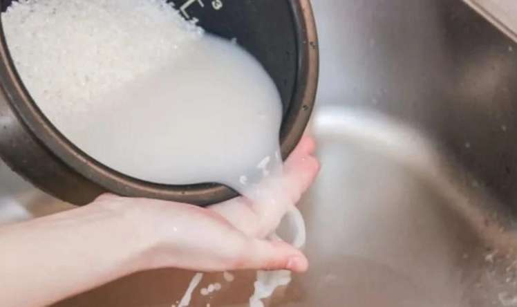 Dibçək bitkilərinə düyü suyu tökün -  Faydaları