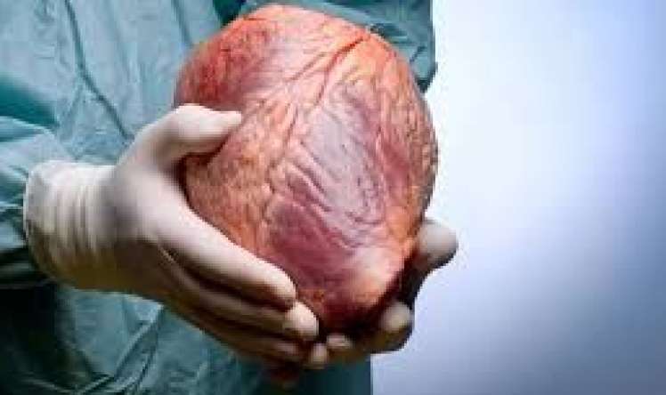 Donor ürəyi köçürülən insan    nə qədər yaşayır?