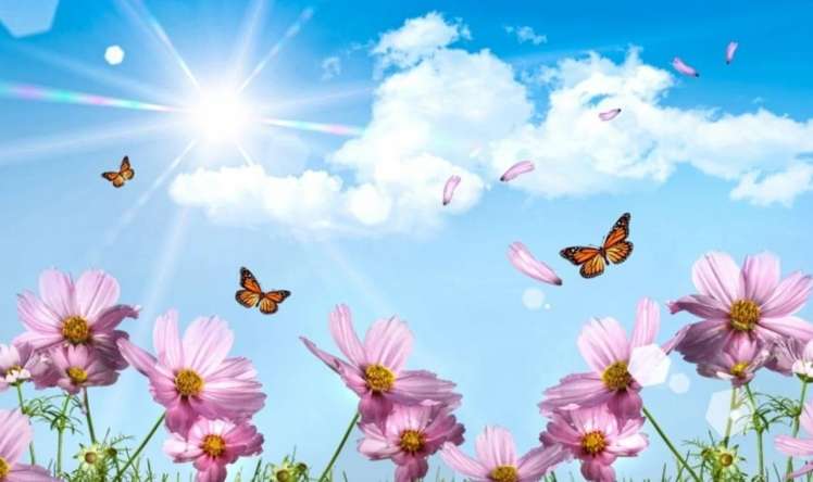 Sabah Azərbaycana yaz gəlir 