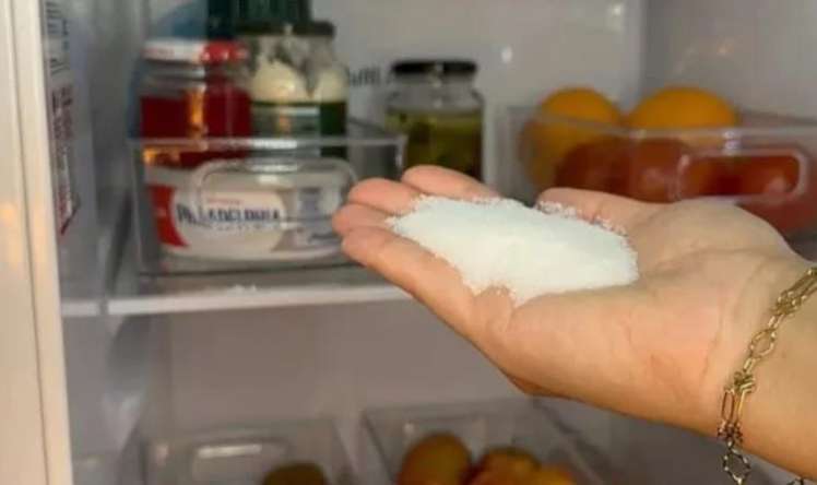 Soyuducuya duz qoymağın  faydaları