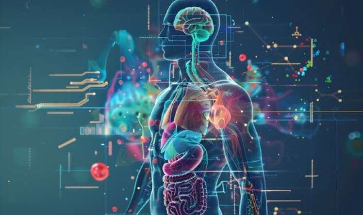 Xroniki xəstəliklər niyə sağalmır? -  Səbəbi tapmadan müalicə mümkün deyil