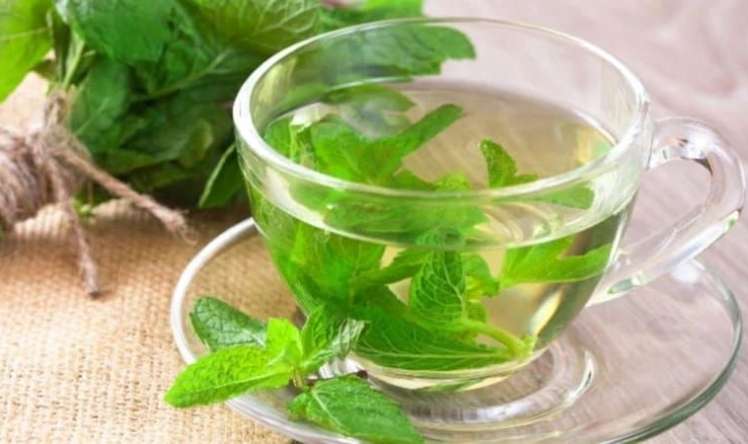 Bədəniniz sizə təşəkkür edəcək:  Nanə suyu içməyin 5 faydası