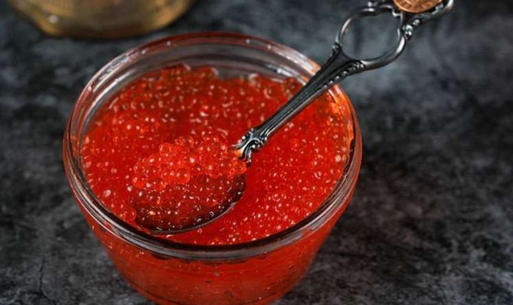 Qırmızı kürü xərçəngin düşmənidir? 