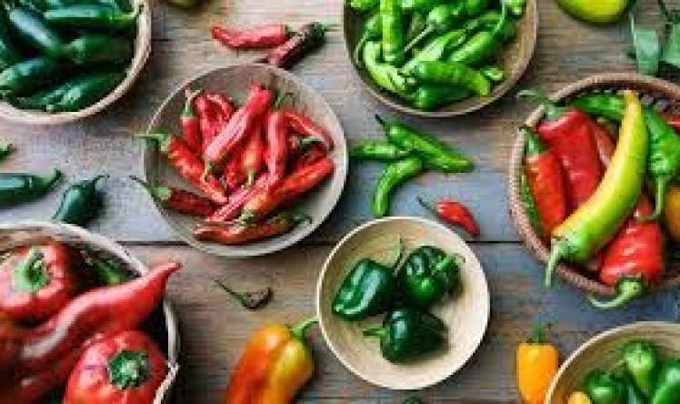 Bu bibər diabeti müalicə edə bilər  