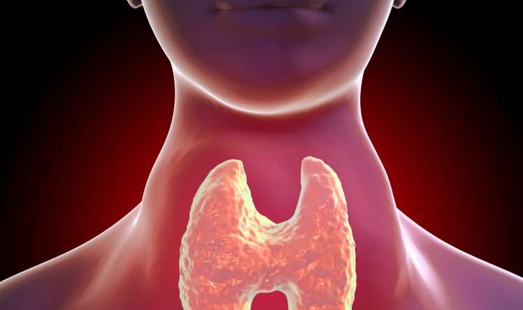 Zob xəstəliyində radioaktiv yod həmişə vacibdirmi? –  Mütəxəssislər fərqli yanaşmaları izah edir