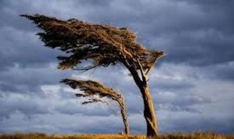 Hava ilə bağlı Narıncı Xəbərdarlıq 