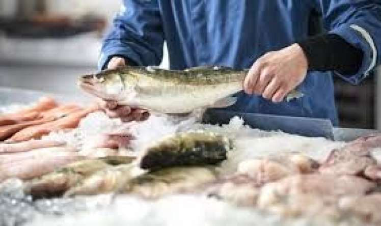 Qaraciyər buna dözmür  – Ən təhlükəli balıq