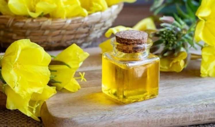 Təbiətin qızıl resepti:  Novruzçiçəyi yağı haqqında bilməli olduqlarınız