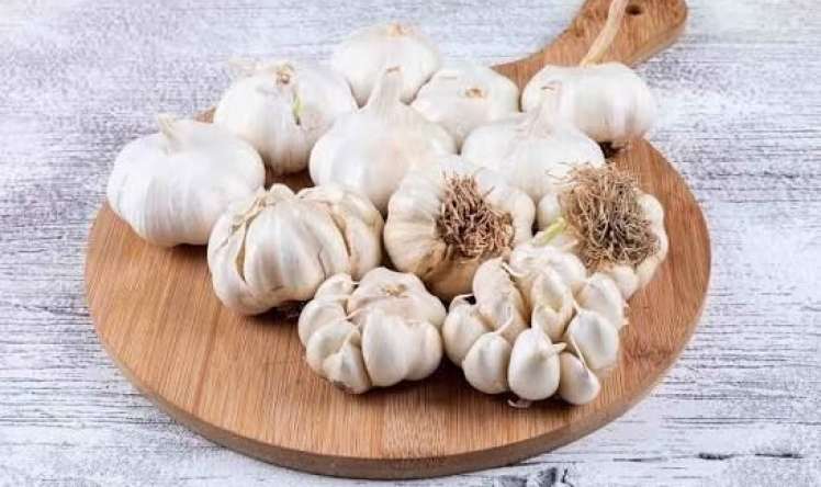  Sarımsağı bu cür saxlamaq lazımdır -  2 il təzə qalacaq