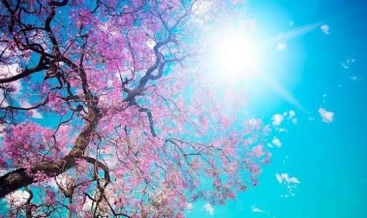 Sabahın hava proqnozu 