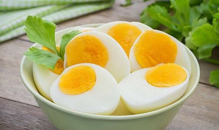 Hər gün yumurta yemək olarmı? 