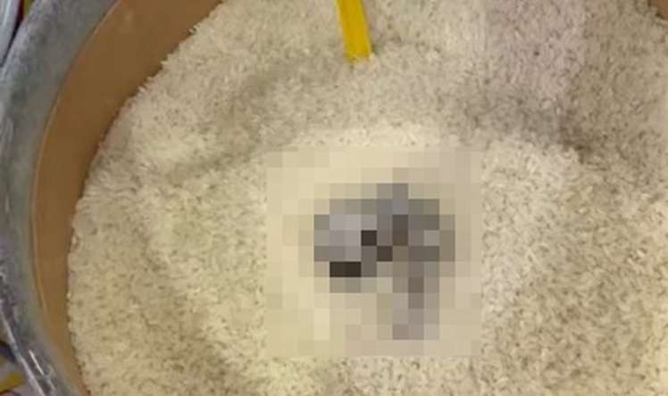 Açıq satılan düyüdə pişik nəcisi tapıldı -   52 000 cərimə