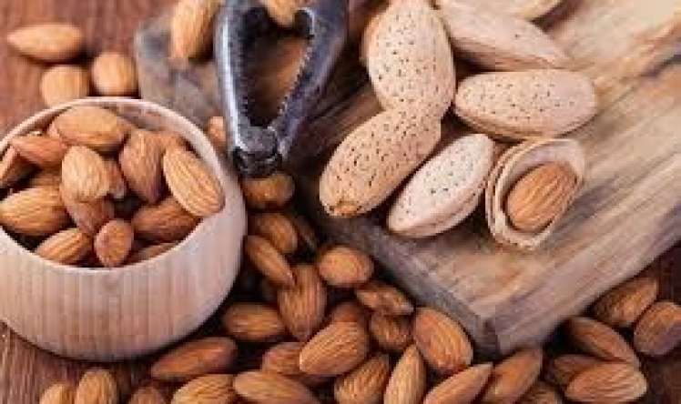 5 ədəd  badam yeyib, sonra idman et  – Sirr