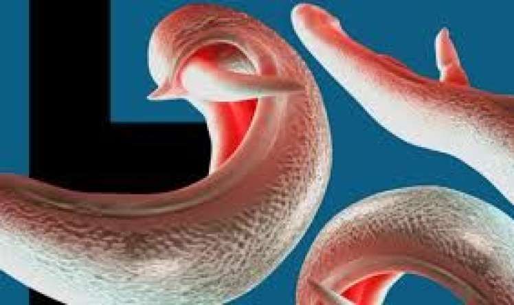 Bədənimizdəki hansı qurdlar   - vitaminlərimizi "yeyir"?