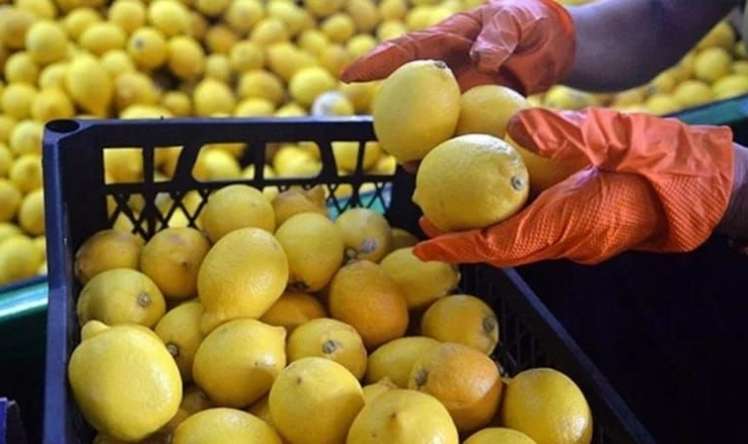 Limon seçərkən buna diqqət edin! 