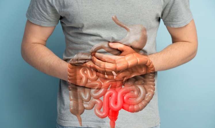 Bədən siqnallarını düzgün oxumaq   - Harda nə baş verir? 