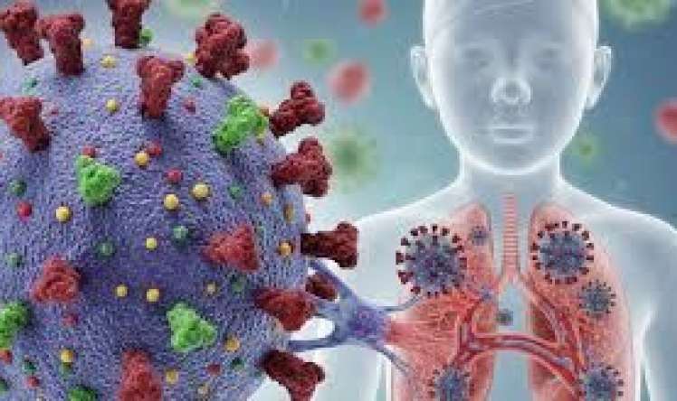 Yeni Hantavirusun müalicəsi varmı - Antibiotik, yoxsa kovid dərmanları?
