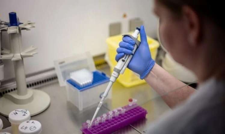 Hantavirus üçün təsdiqlənmiş müalicə və ya  peyvənd yoxdur