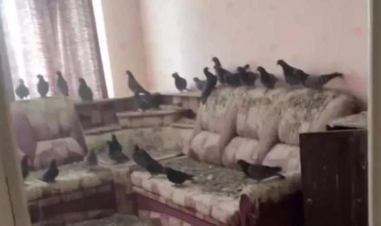 Pəncərələri 3 il açıq qoydu -   Qayıtdığında peşman oldu-FOTO