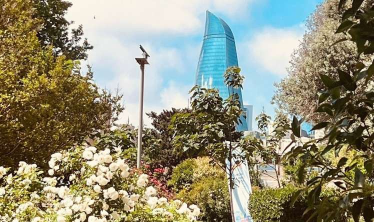 Sabahın havası 
