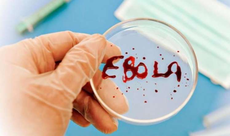 Ebola yayılır     - 1 gündə 15 nəfər öldü