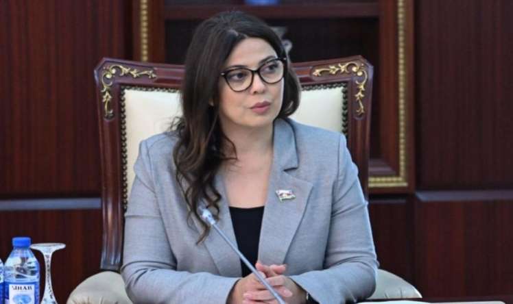 Xanım deputata ağır itki 