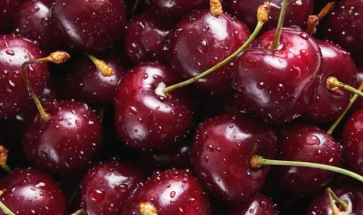 Albalıları pestisidlərdən təmizləmək üçün bu üsulla yuyun 
