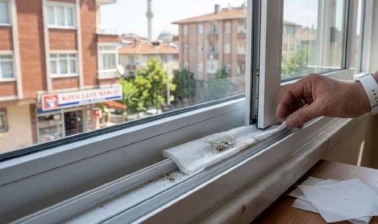 Evdə tualet kağızından belə istifadə edin -  Pəncərələri təmizləyir