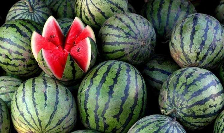 Bu yay Azərbaycanda qarpızdan zəhərlənən olubmu? 